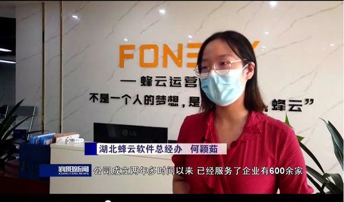 湖北蜂云軟件 壯大軟件開發(fā)市場主體，促進服務(wù)外包量增質(zhì)升